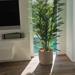 Parlour Palm UV 1.9m - artificial plants, flowers & trees - image 9
