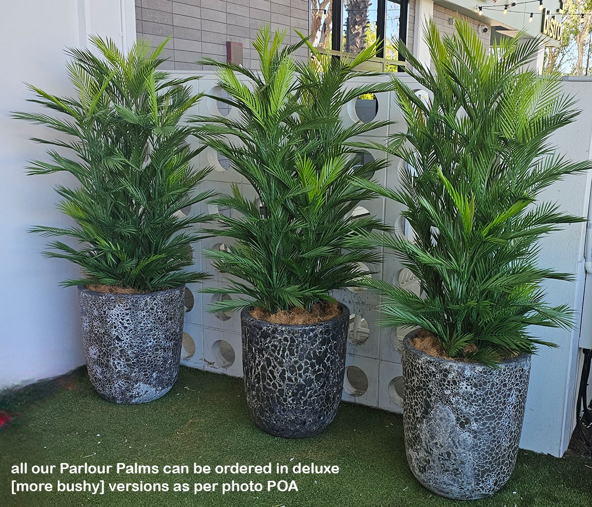 Parlour Palm UV 1.9m