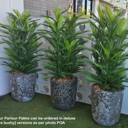 Parlour Palm UV 1.9m - artificial plants, flowers & trees - image 7