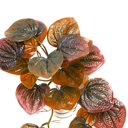 Bushes..sml trailer- Peperomia Plant - artificial plants, flowers & trees - image 1