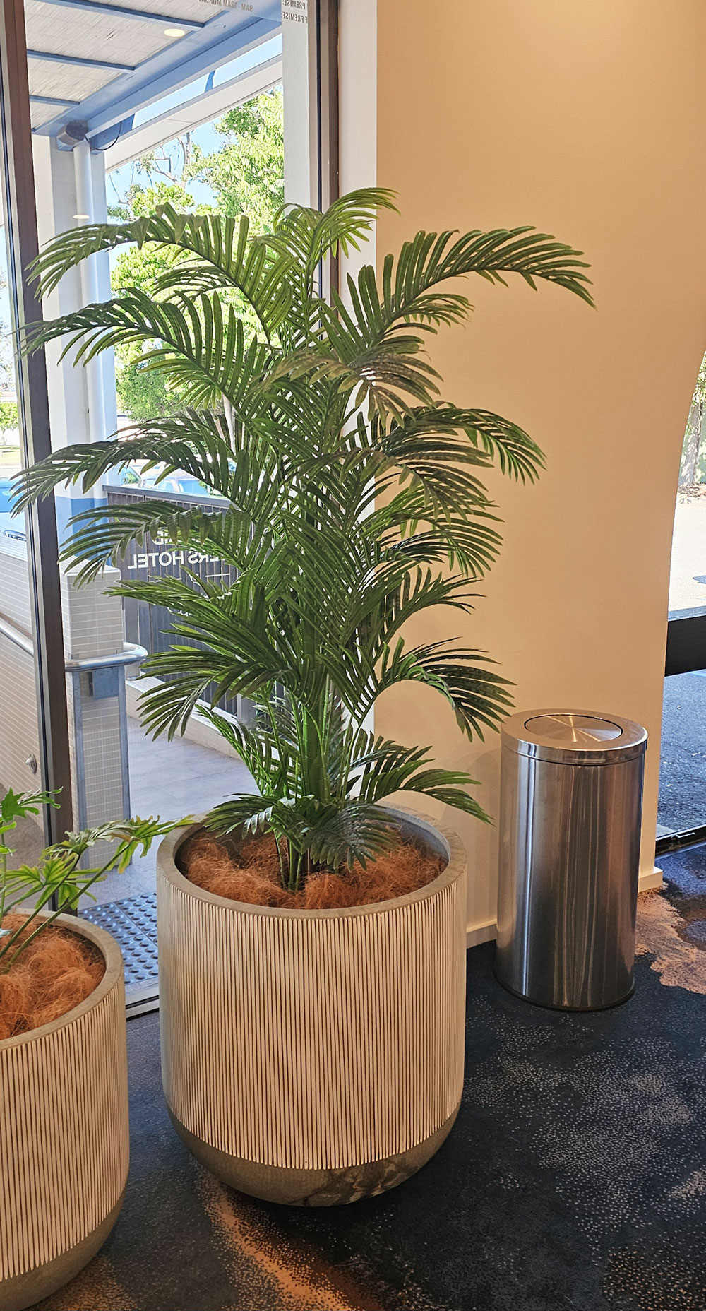 Phoenix Palm 2.1m 