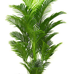 Phoenix Palm 1.8m - artificial plants, flowers & trees - image 7