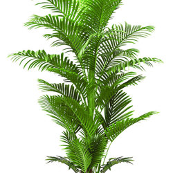 Phoenix Palm 2.1m  - artificial plants, flowers & trees - image 6