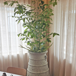 Fish-Tail Palm 2.1m - artificial plants, flowers & trees - image 3