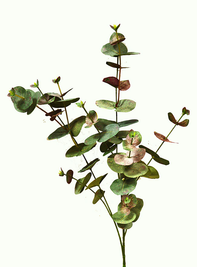 Leaf Sprays- Sweet Gums 