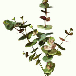 Leaf Sprays- Sweet Gums  - artificial plants, flowers & trees - image 1