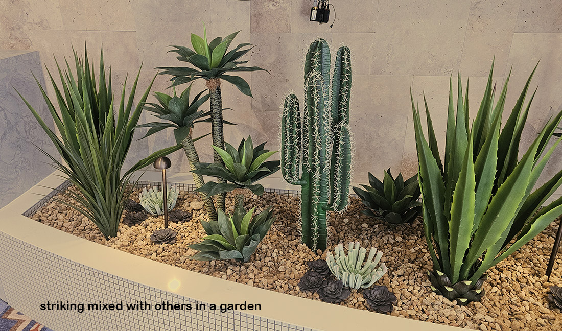 Cactii- Desert Cactus 1.1m