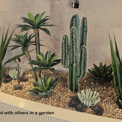 Cactii- Desert Cactus 1.1m - artificial plants, flowers & trees - image 2