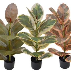 Rubber Plant- Burgundy 60cm - artificial plants, flowers & trees - image 2
