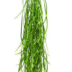 UV-Trailer: Seagrass- trailing 90cm - artificial plants, flowers & trees - image 5