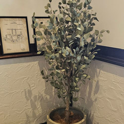 Eucalyptus 'Silver Gum' 1.8m   - artificial plants, flowers & trees - image 2