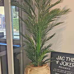 Alexander Palm 2.4m UV-treated - artificial plants, flowers & trees - image 4