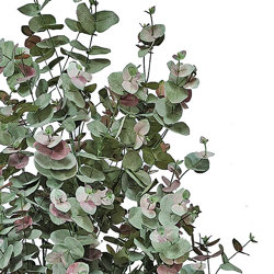 Eucalyptus 'Sweet Gum' 2.1m - artificial plants, flowers & trees - image 1
