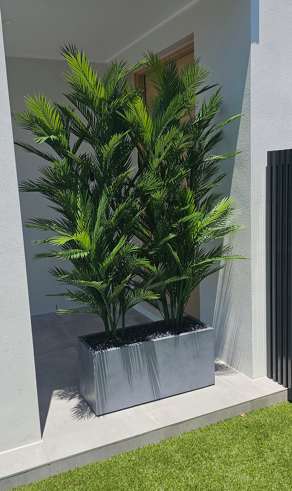 Trough Planters- with UV Parlour Palms 1.6m