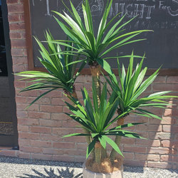 Agave- Spikey Agave Plant UV 1.3m with 4 heads  - artificial plants, flowers & trees - image 3
