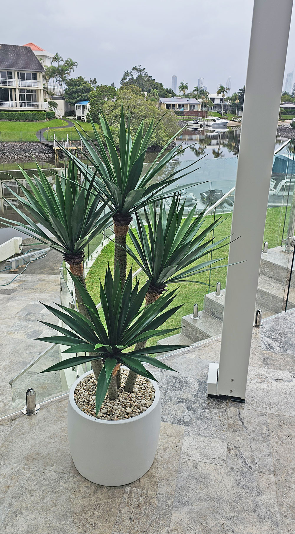 Agave- Spikey Agave Plant UV 1.3m with 4 heads 