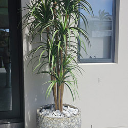Yucca- UV 1.7m with 8 heads   - artificial plants, flowers & trees - image 1