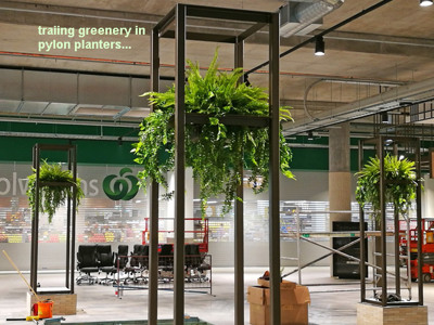 Shopping Mall- various greenery