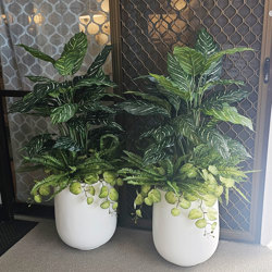 Silver Princess Plant 1.2m - artificial plants, flowers & trees - image 1