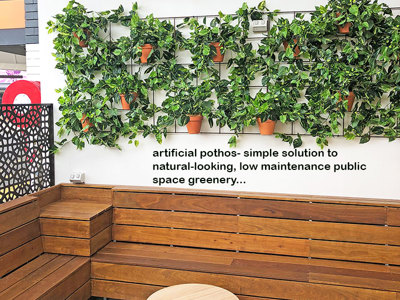 Simple 'Greenification' of Bar area using Vines on wall...