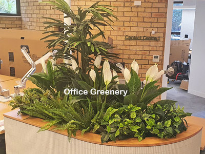 New offices with a green shine...